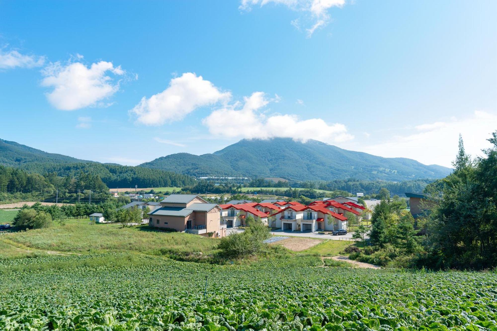 Le Comte Bleu Hotel Pyeongchang Ngoại thất bức ảnh